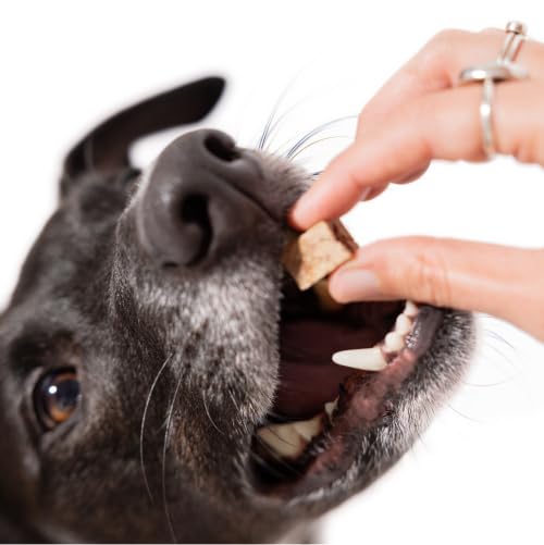 Maev hígado liofilizado snack educativo para perros