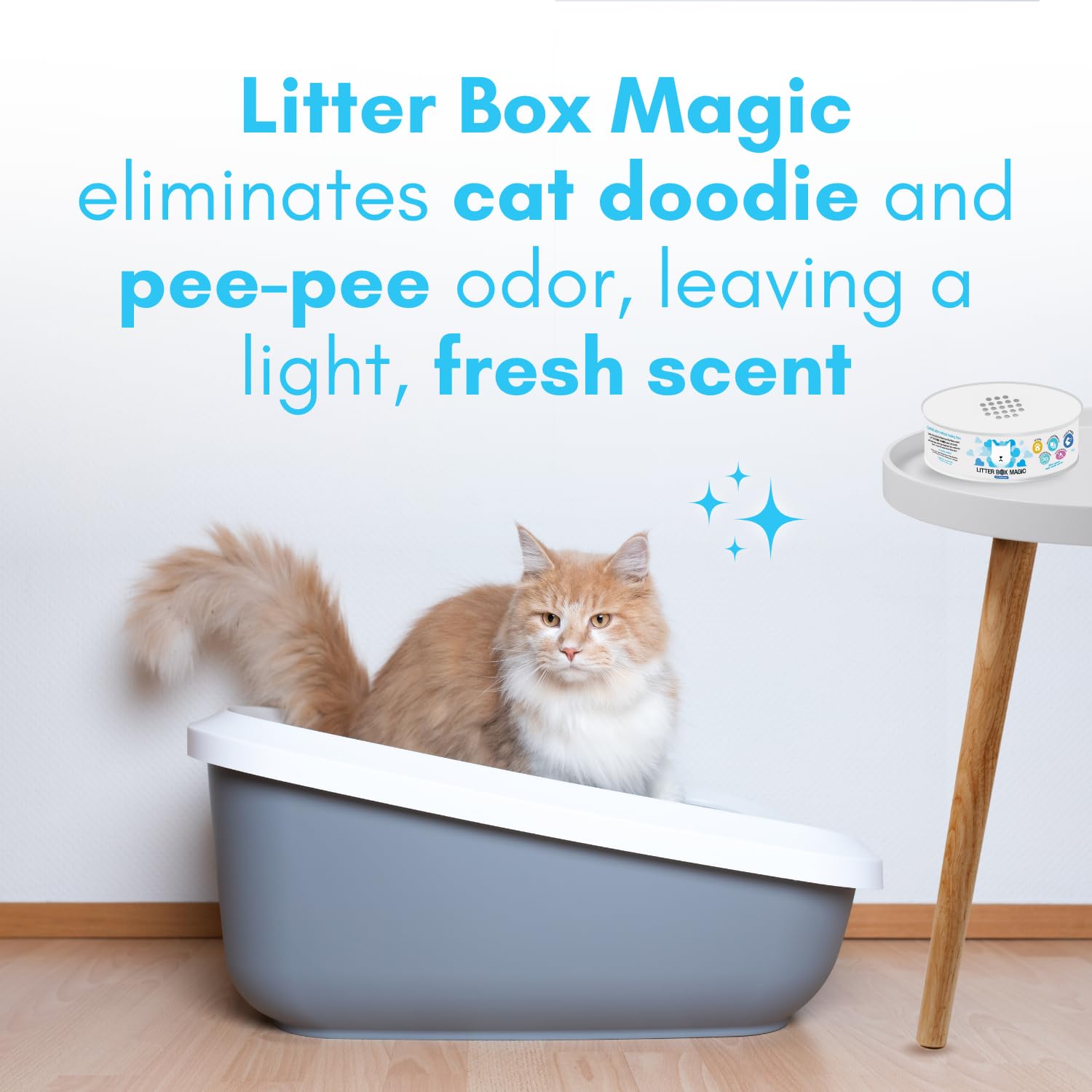 Gel Magia Caja Arena cerca del arenero para aroma fresco.