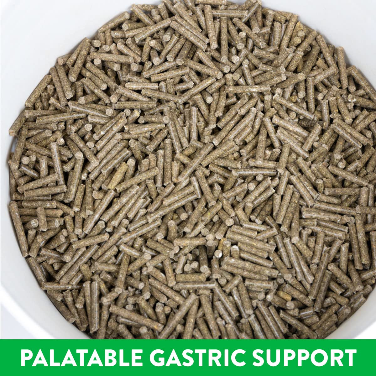 Magnagard Pellet en balde, suministro mensual para el bienestar digestivo