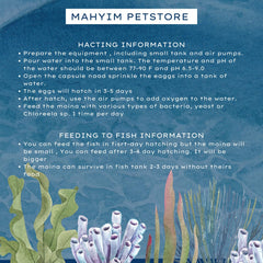 MAHYIM Moina Macrocopa: alimento vivo de alto contenido proteico para peces