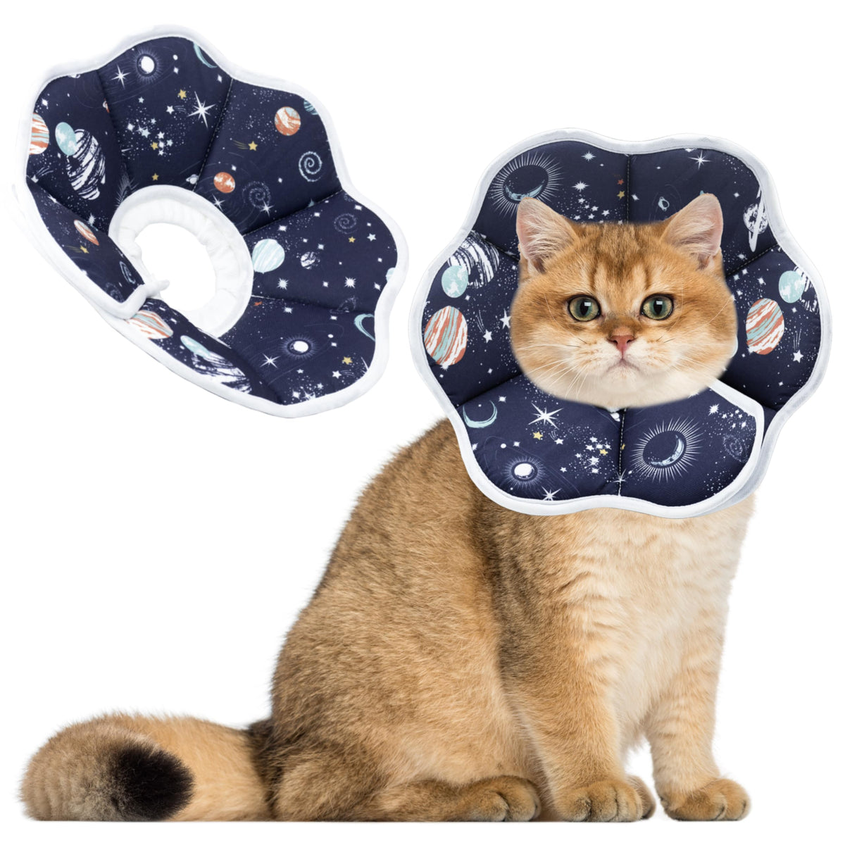 Maiiu collar cono suave para gatos enfocado en cuello para recuperación cómoda