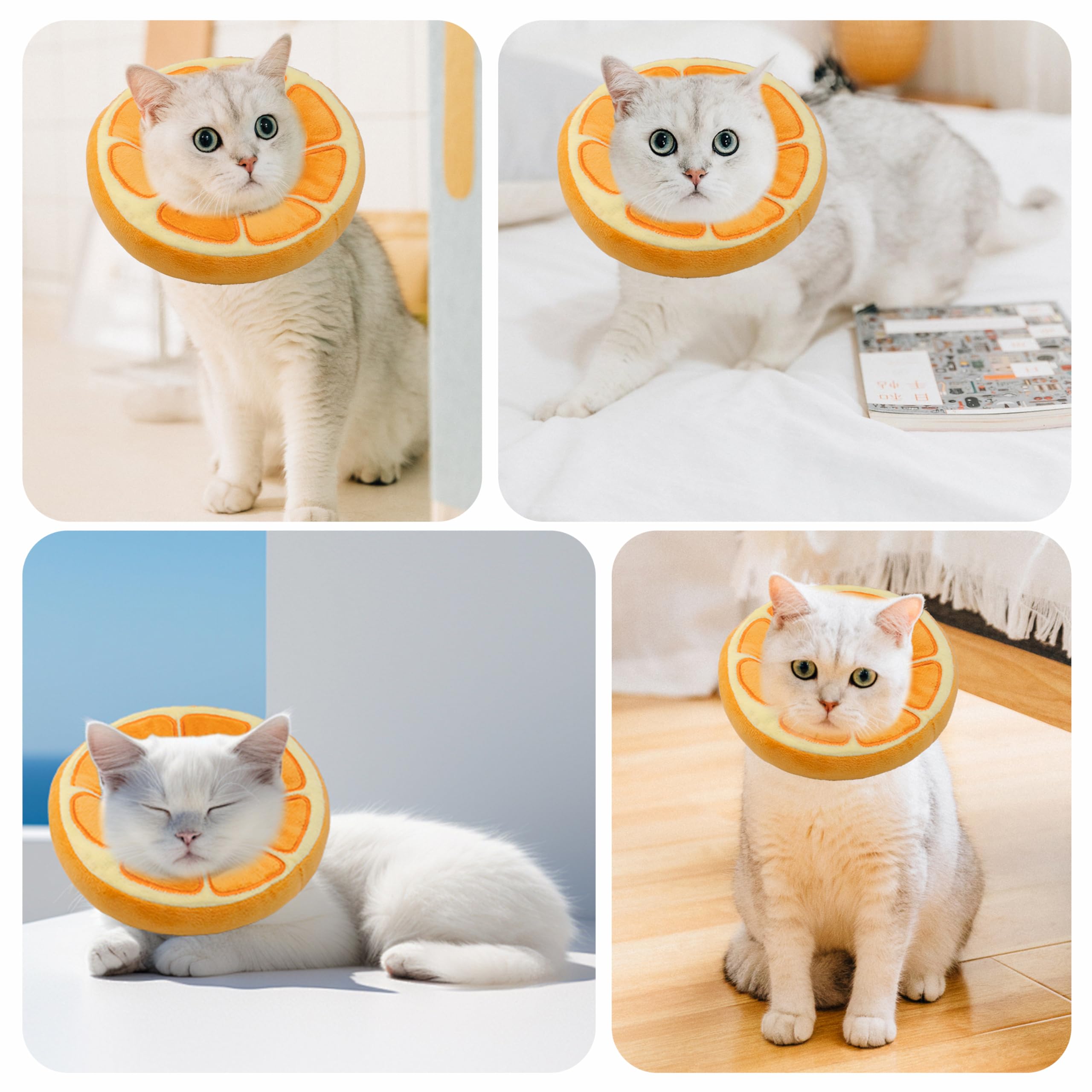 Collar Maiiu suave para gatos, uso diario seguro, evita lamidos innecesarios.