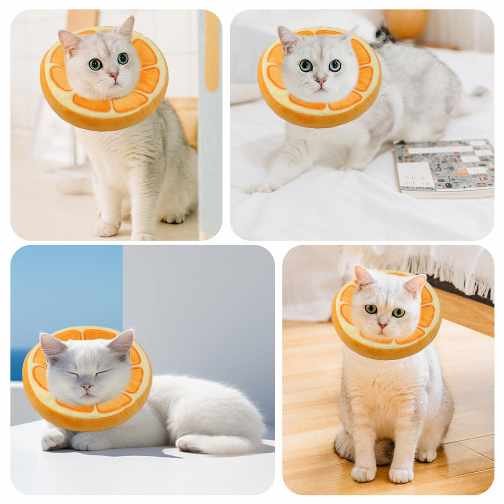 Aplicación diaria sin interferir en la vida del gato.
