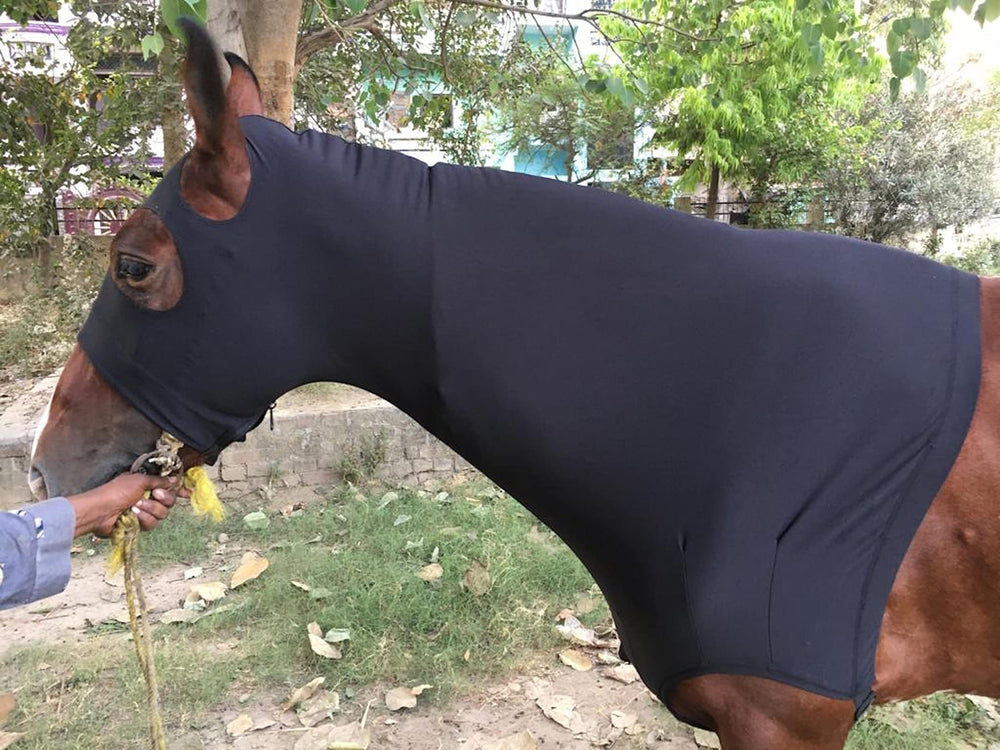 Majestic Ally banda elástica de abdomen para ajuste seguro.