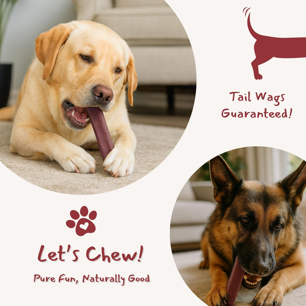 Majestic Pet Himalayan Chews: ideal como recompensa diaria en entrenamiento.