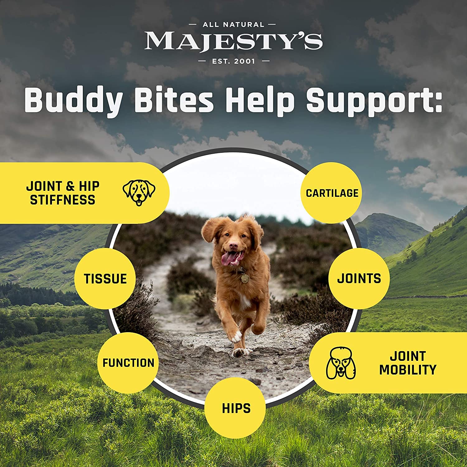 Majesty's Buddy Bites aceite de coco para piel y digestión