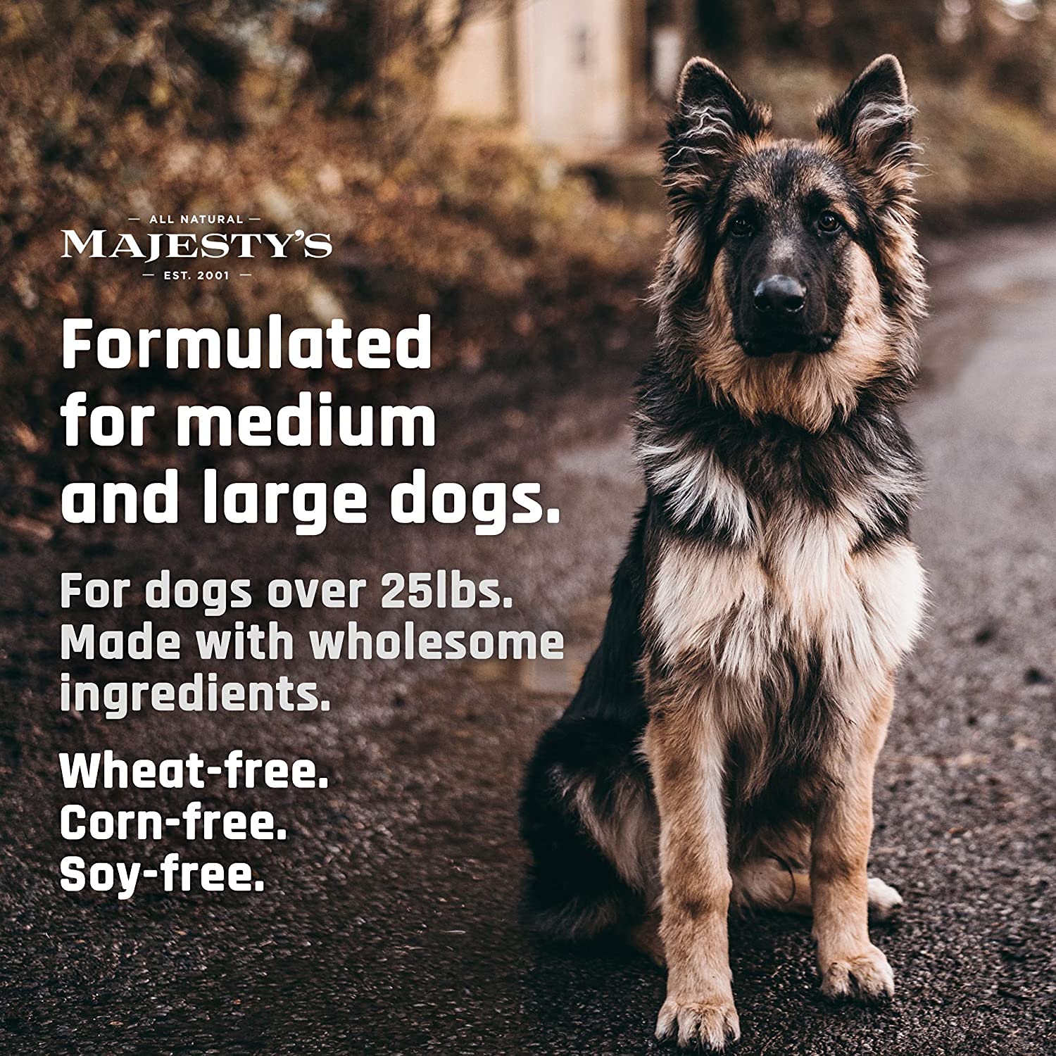 Majesty's Buddy Bites MSM para apoyo articular