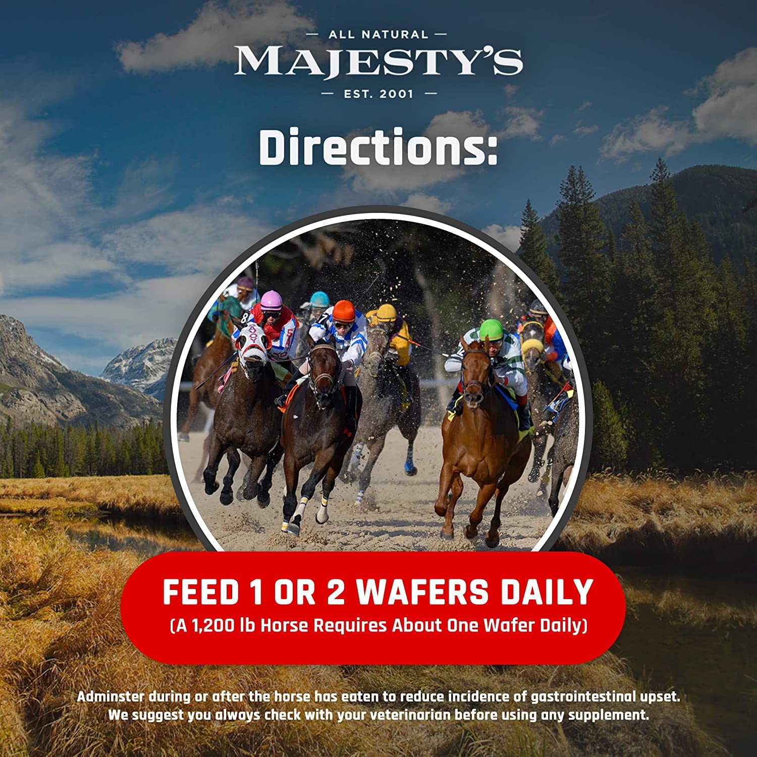 Caballo comiendo Majesty's Flex HA Wafers durante paseo, posible apoyo articular.