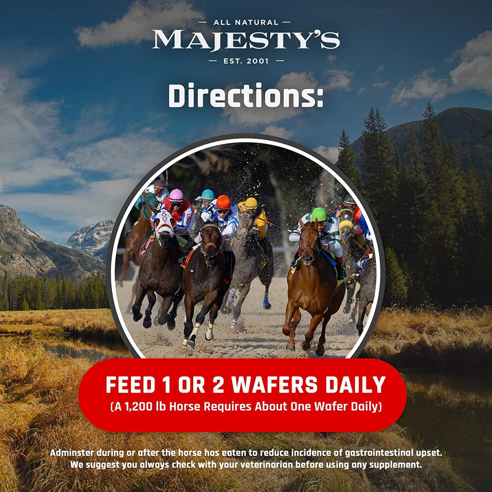 Caballo comiendo Majesty's Flex HA Wafers durante paseo, posible apoyo articular.