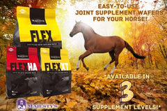 Galleta Majesty's FlexHA sabor manzana para caballos