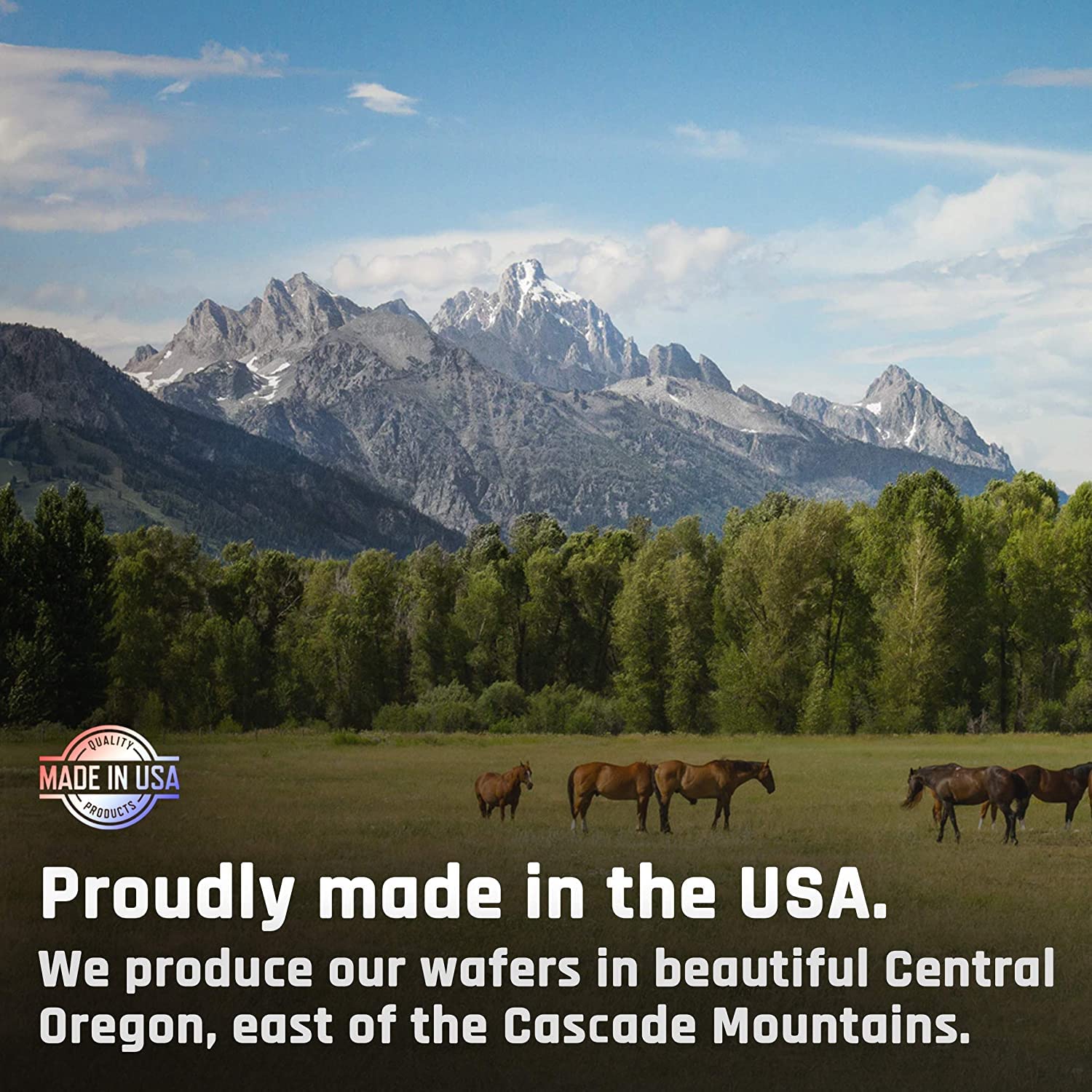Majesty's Kalm Wafers: listo para uso diario en establo y campo