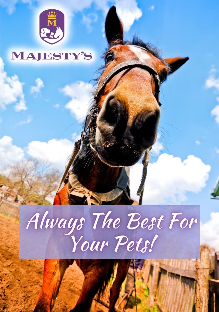 Majesty's PillEase: caballo cómodo disfruta una recompensa suave.