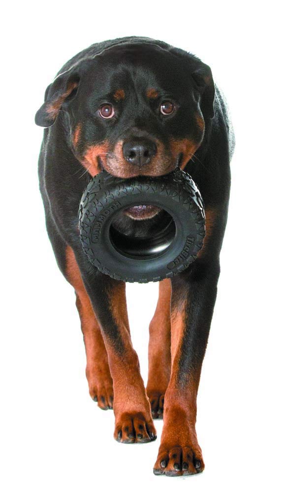 Mammoth TireBiterII: tamaño XL para perros grandes.