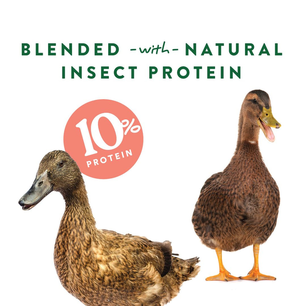 Manna Pro Duck Discs: 10% proteína para aves activas