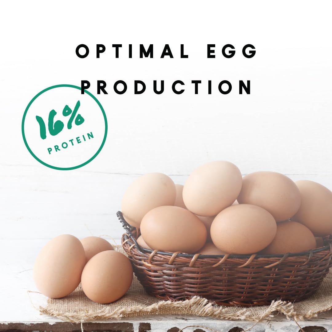 Manna Pro granulos ponedoras con omega 3 para huevos más nutritivos.