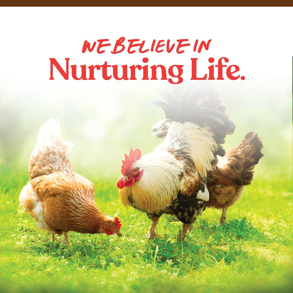 Manna Pro Harvest Delight: mezcla-llena-nutrientes, ideal para enriquecer la alimentación diaria.