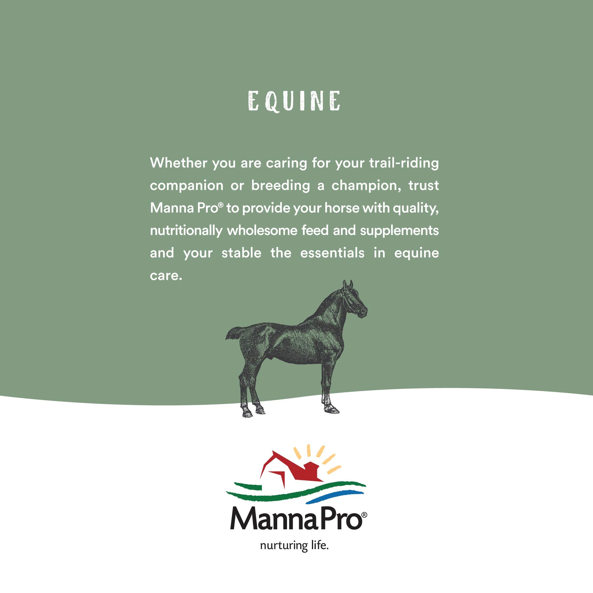 Manna Pro Hen Healer apto para todas las clases de aves de corral.