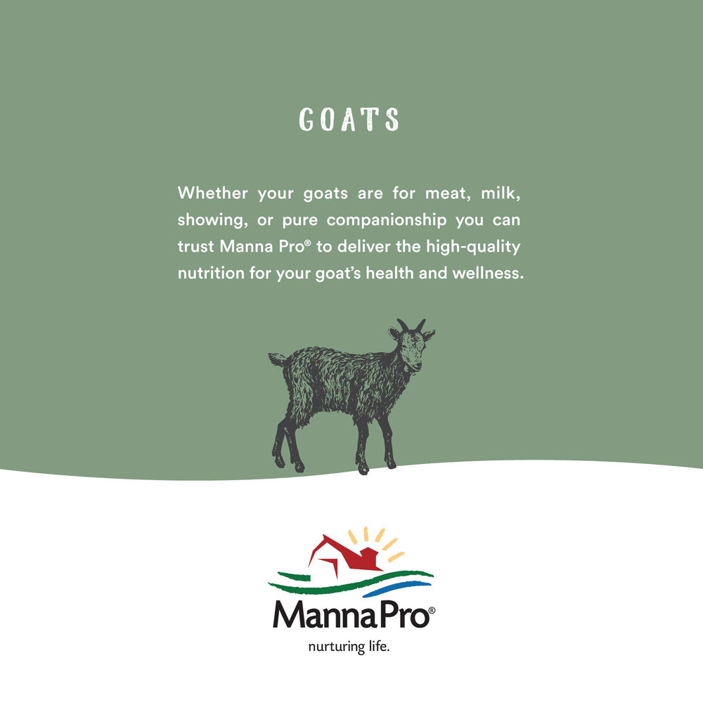 Manna Pro Mini-Pig: uso diario en la dieta para crecimiento y bienestar.