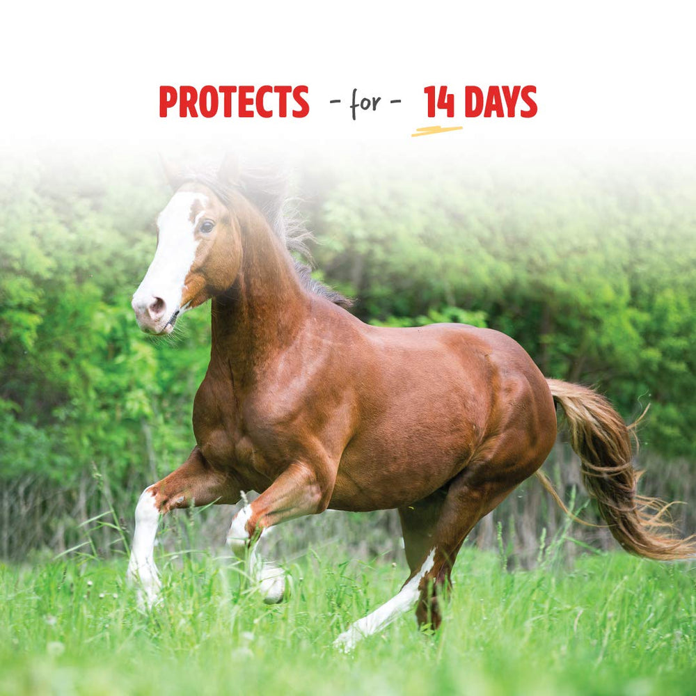 Manna Pro Pro-Force para perros: control de pulgas y garrapatas