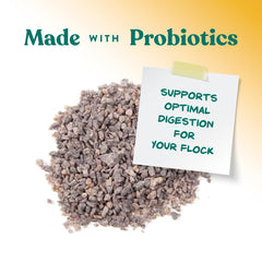 Manna Pro probioticos para salud intestinal de pollitos