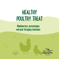 Manna Pro Mealworms naturales, ingredientes simples para una alimentación consciente.