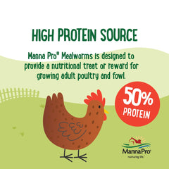 Manna Pro Mealworms para pollos, pavos y patos, fomenta el forraje natural.