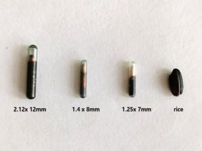 Manruta microchip ID para cerdo, mejora la gestión y atención veterinaria.