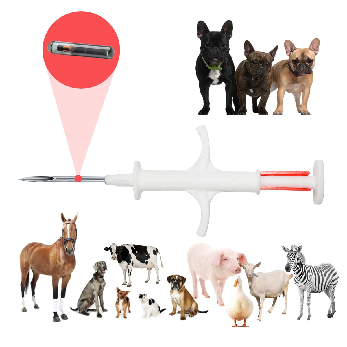 Manruta microchip ID para perro, facilita la identificación y el reencuentro.