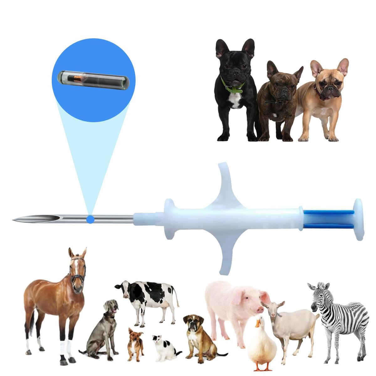 Manruta microchip inyectado en la piel de perros y gatos, para identificación fácil.