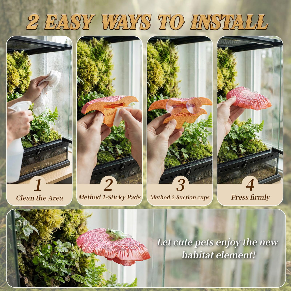 maozyiltle hongo decoracion acuario: estructura segura para peces y reptiles