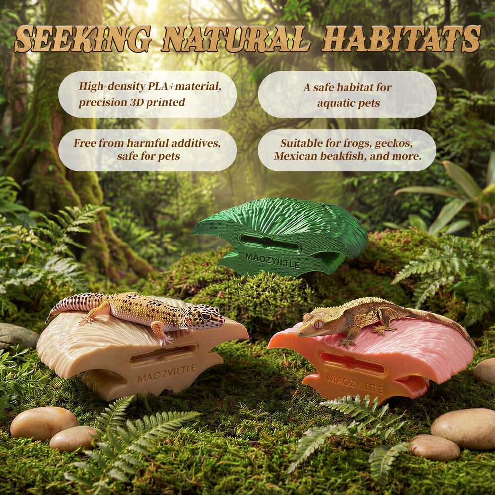 maozyiltle hongo escena bosque: crea entorno natural y estimulante