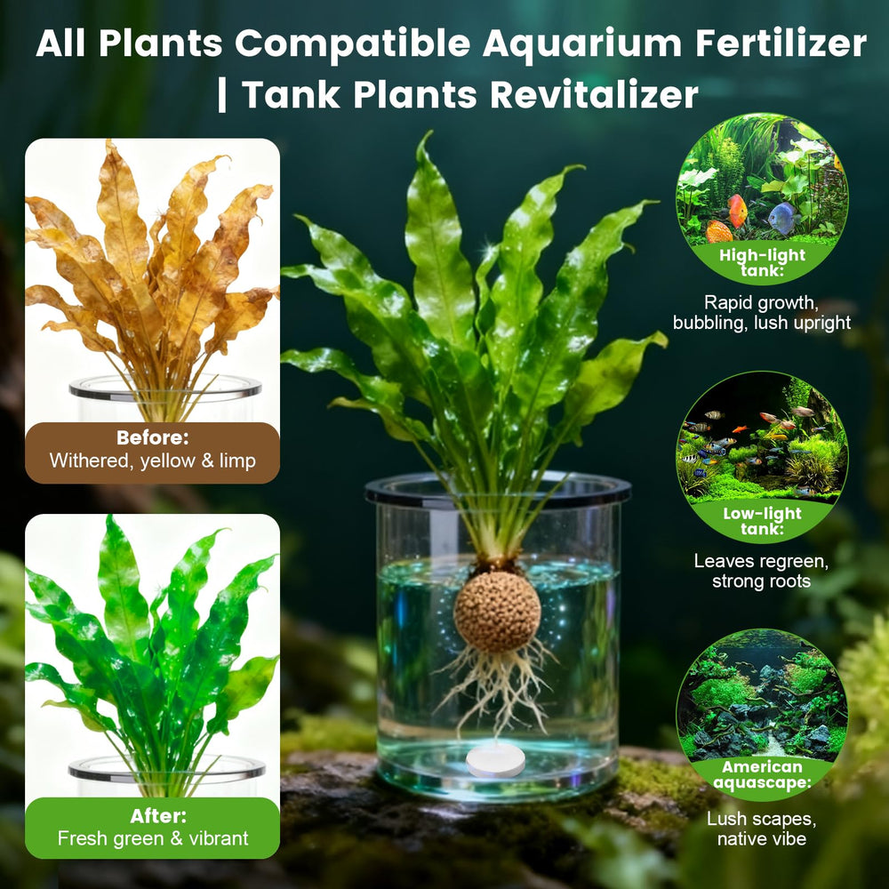 Maozyiltle Tabs en Substrato junto a plantas para nutrición raíz