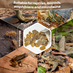 MAQIHAN refugio natural en terrario para reptiles y anfibios, ofrece escondites.