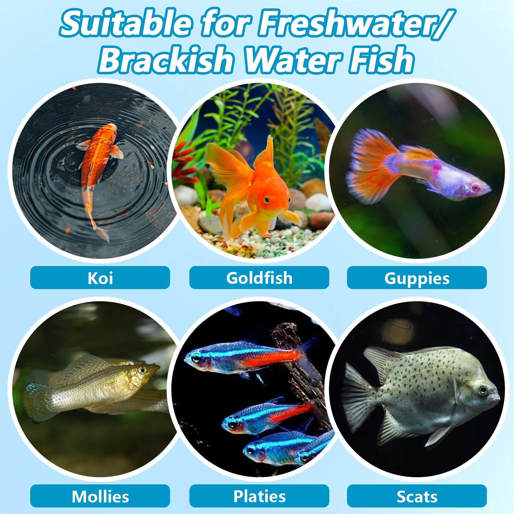 MAQIHAN sal para transporte de peces en bolsas de acuario.