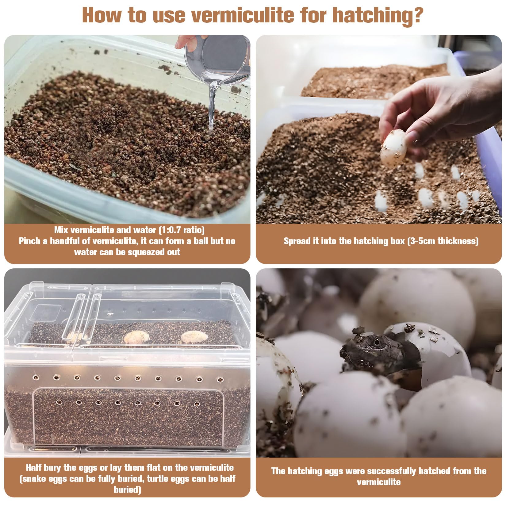 MAQIHAN vermiculita como cama de terrario: comodidad para reptiles.