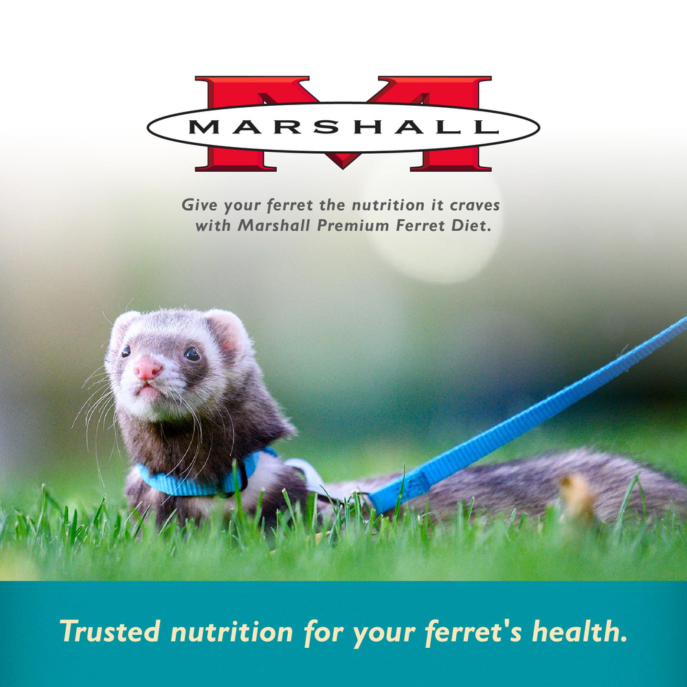 Marshall Pet Products Selección Fórmula Pollo Dieta Premium para hurones, uso diario