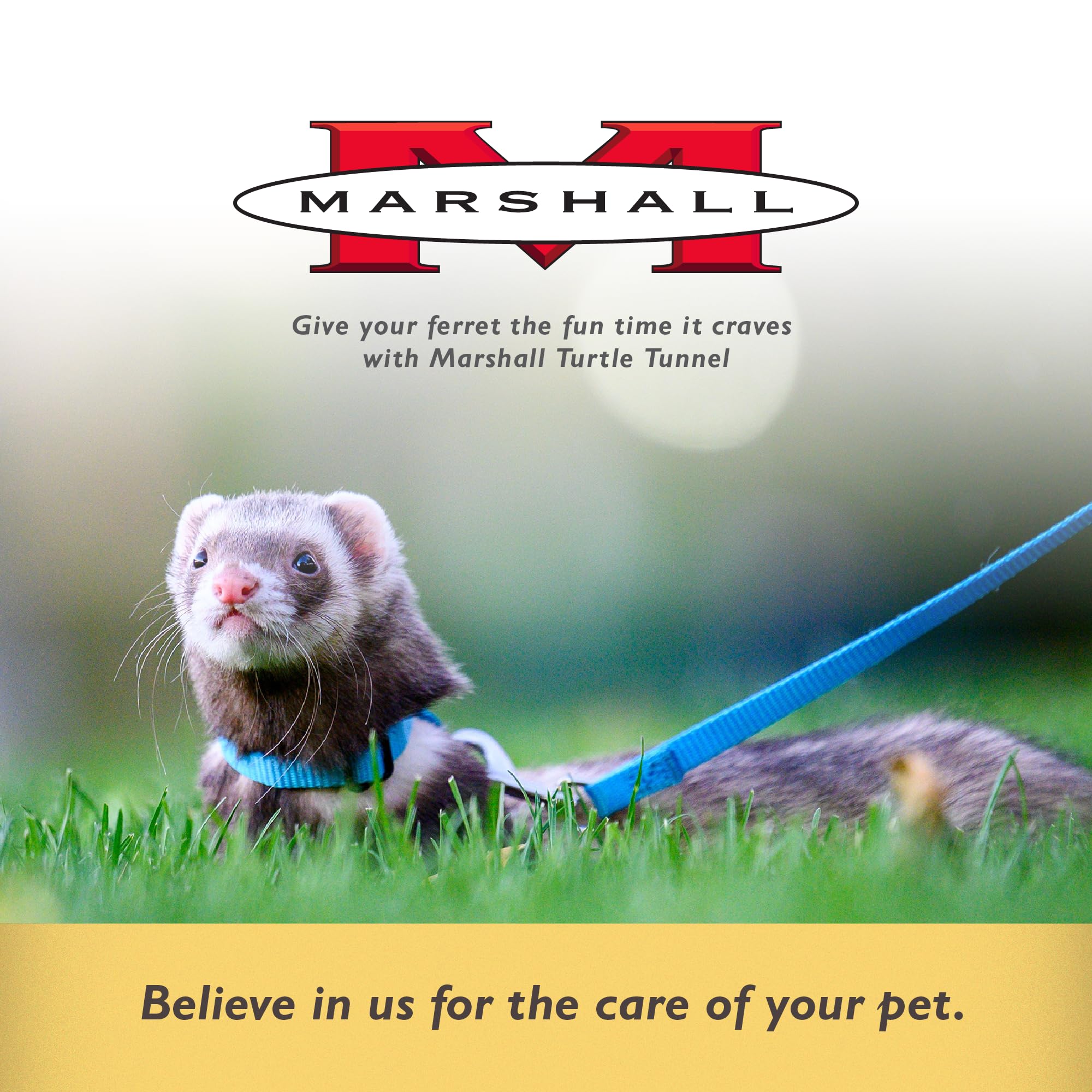 Marshall Pet Turtle Tunnel: color verde suave que embellece la zona de juego.