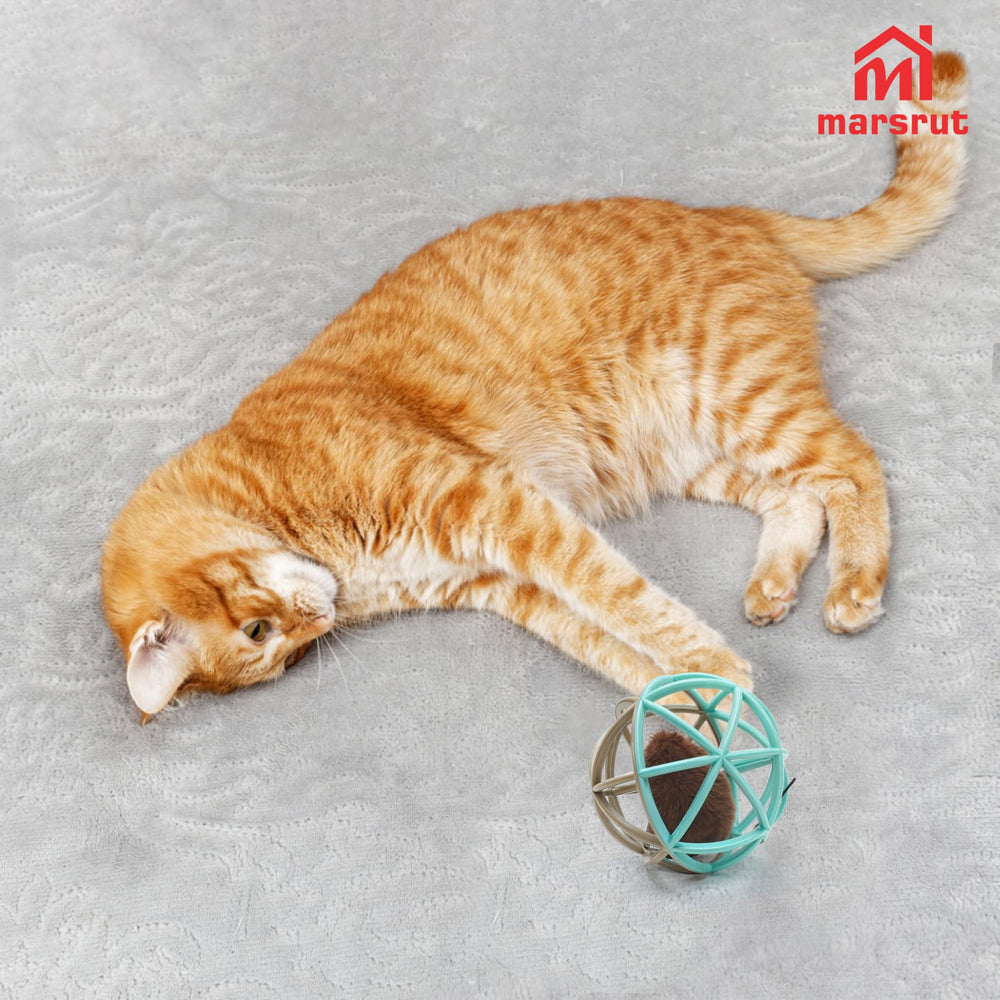 Marsrut juguete ideal para interior y exterior, mantiene al gato entretenido
