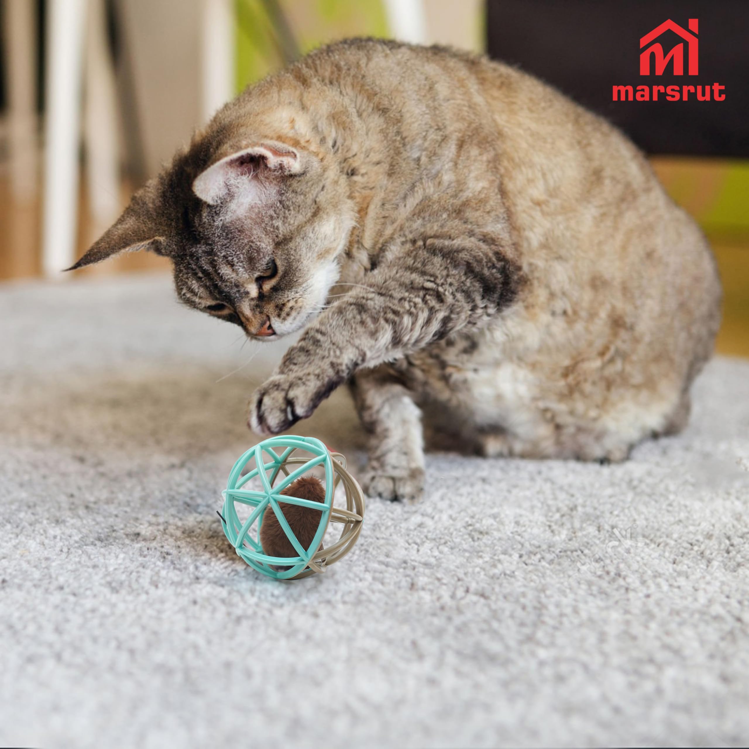 Marsrut juguete de gatos con colores vivos para juego activo y entrenamiento