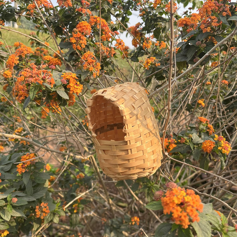 Marsrut nido diseño ecoamigable cuida el entorno de las aves