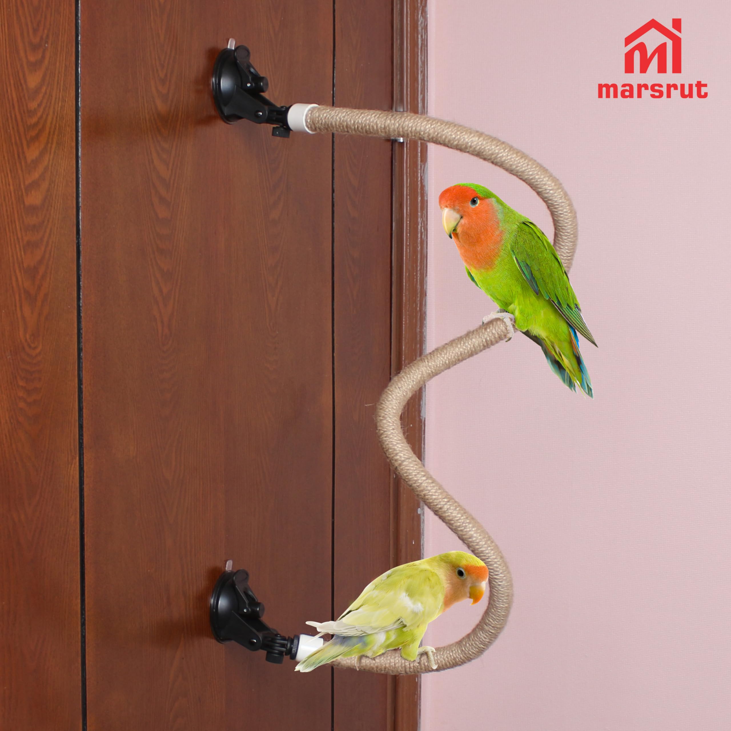 Marsrut percha para viaje: compañera portátil para aves durante desplazamientos.