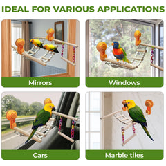 Marsrut percha de ventana madera con rampa trepadora para movimientos.