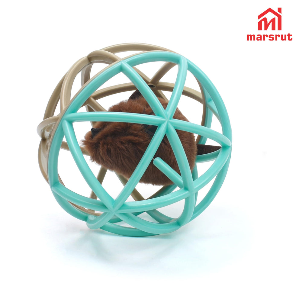 Marsrut regalo perfecto para amantes de gatos que buscan diversión