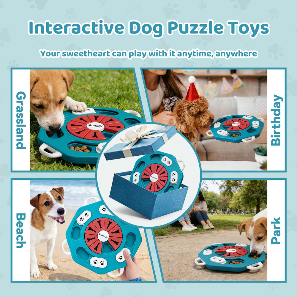 MateeyLife estimulación cerebral, juego educativo para perros.