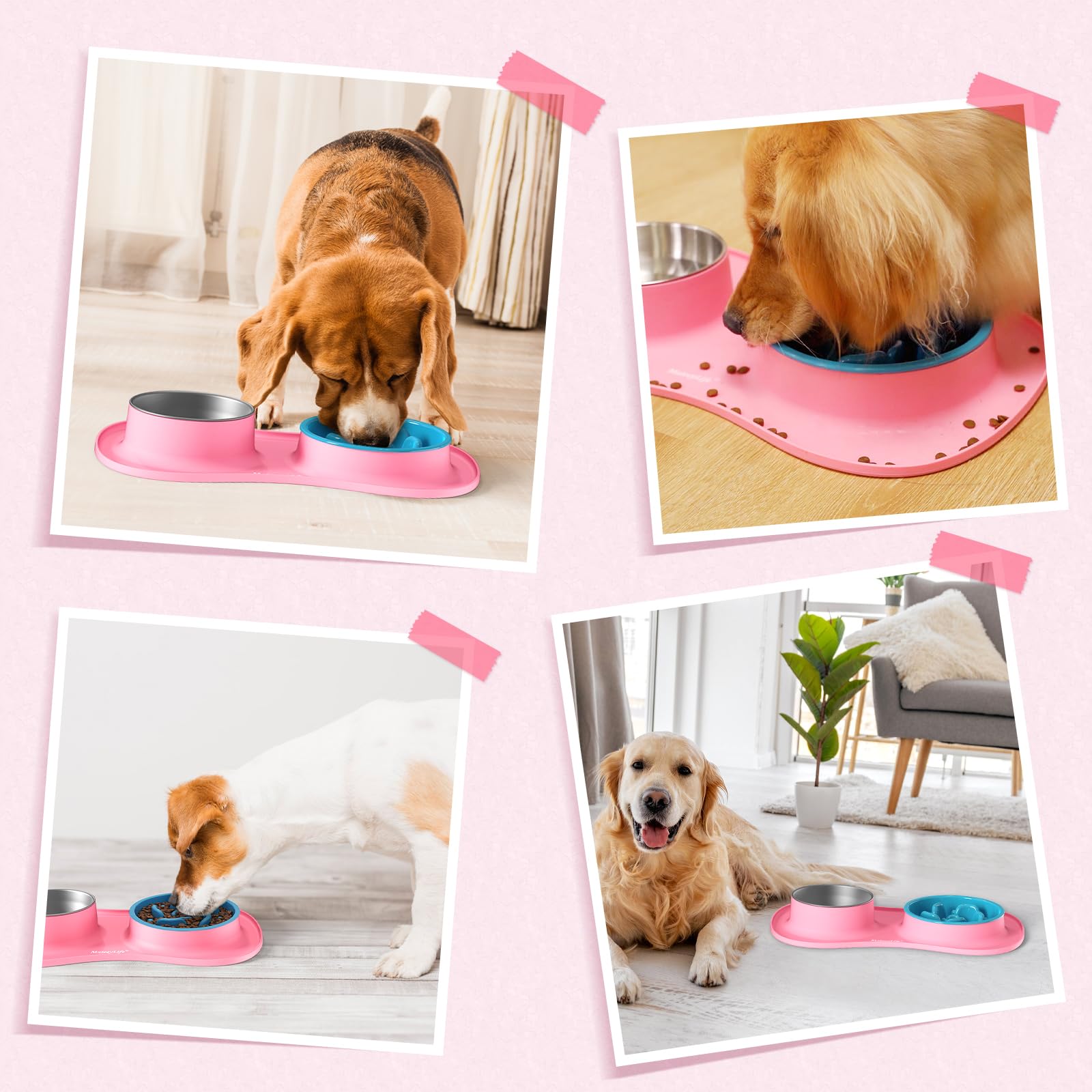 MateeyLife set listo para uso diario en casa con tu mascota.