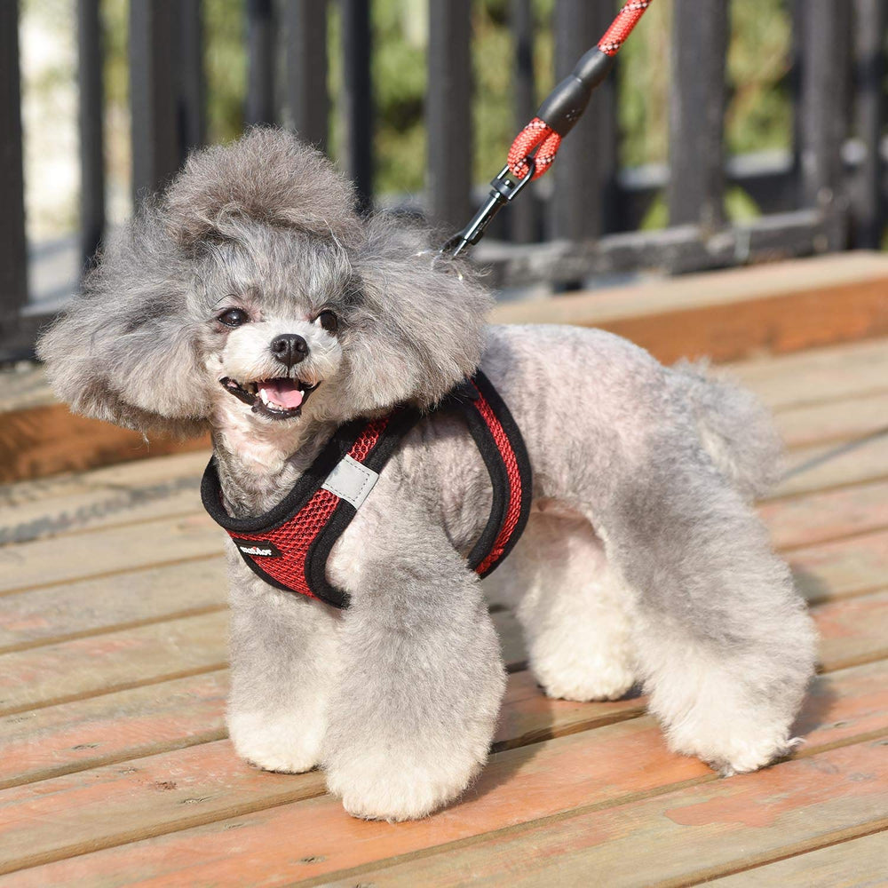 Diseño ergonómico para perros pequeños y medianos con uso diario.