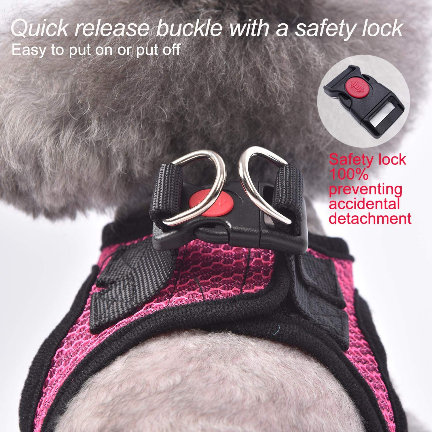 Harnais Matilor, boucle de sécurité, attache fiable pour petit à moyen chien.