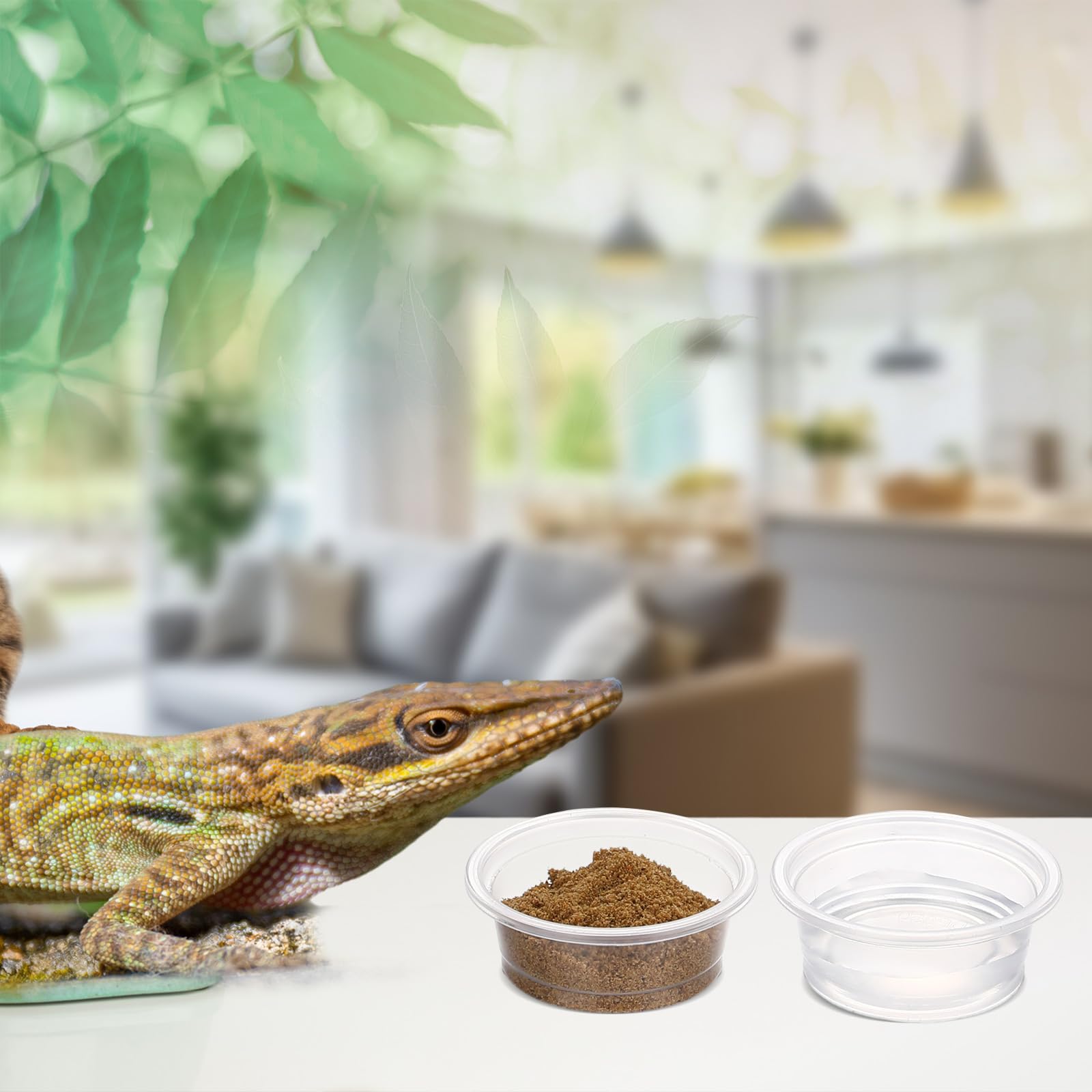 Maxcheck tazas geckos transparentes atraen a comer gracias a la claridad