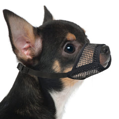 Mayerzon bozal de malla ajustable para perros, cómodo en paseos.