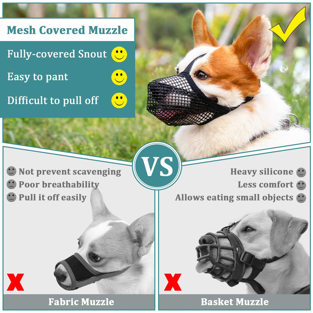 Utilisation publique Mayerzon muselière: supervision recommandée pour la sécurité.